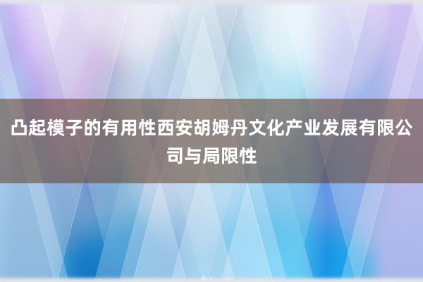 凸起模子的有用性西安胡姆丹文化产业发展有限公司与局限性